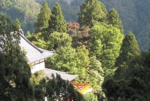 Kurama Suite Music Video (2012)